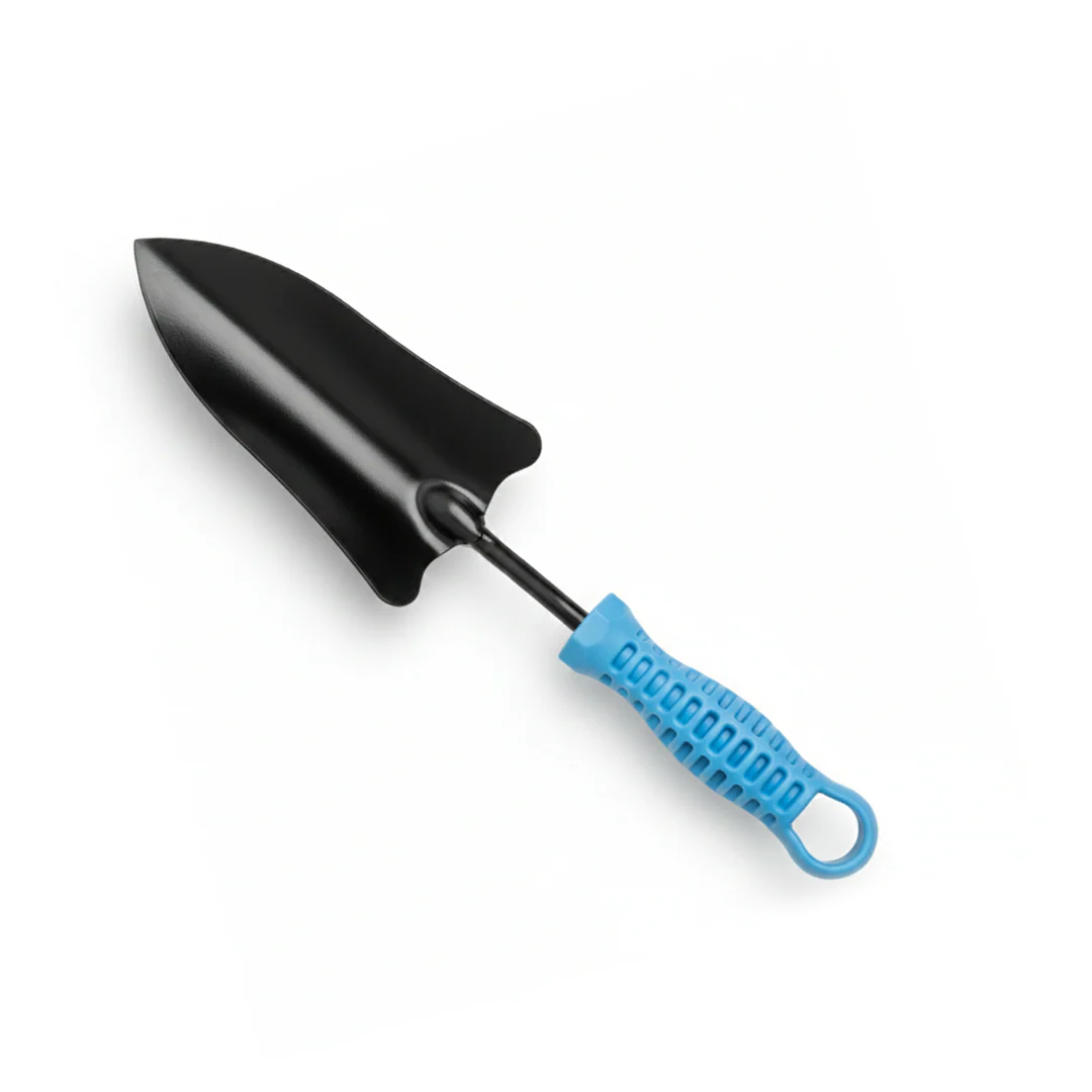 New Year Savings Carnival